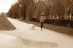 walking the dogs - Version 2