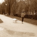 walking the dogs - Version 2