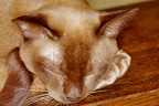 IMG_4851 - Version 3