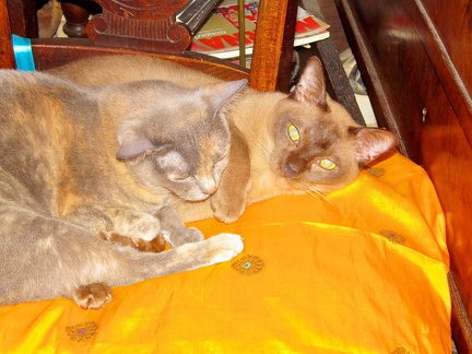 IMG_0640 - Version 2