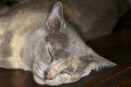 IMG_5026 - Version 2