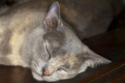 IMG_5026 - Version 2